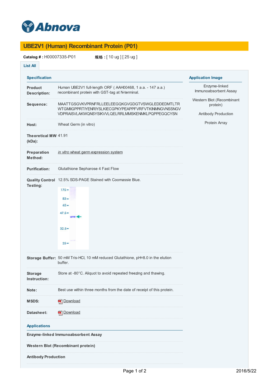 UBE2V1 (Human) Recombinant Protein (P01)