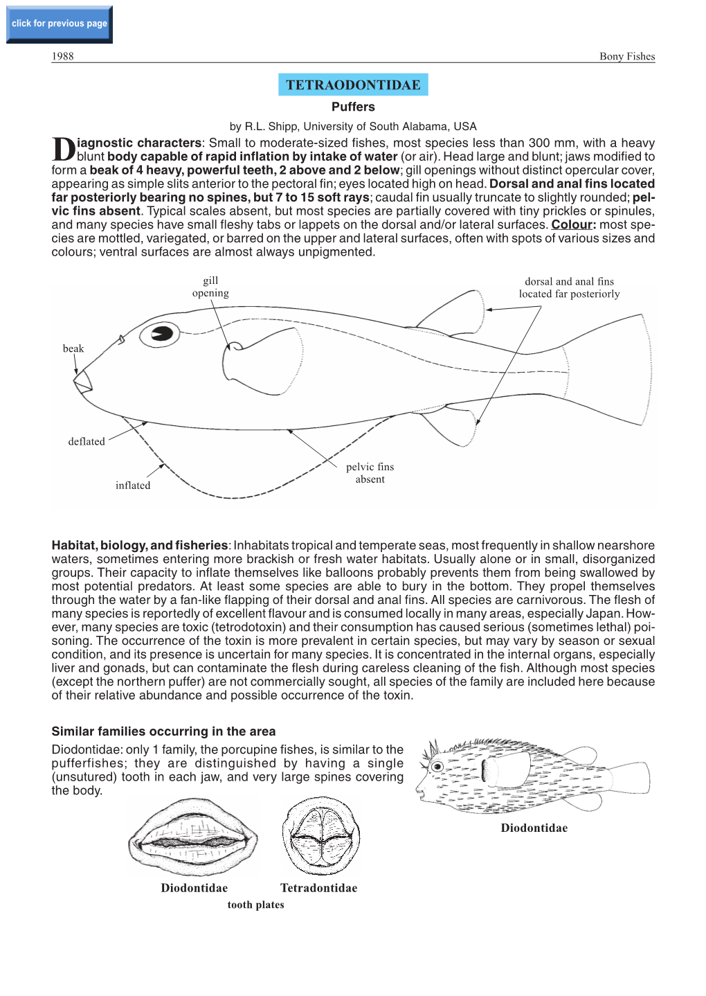 TETRAODONTIDAE Puffers by R.L