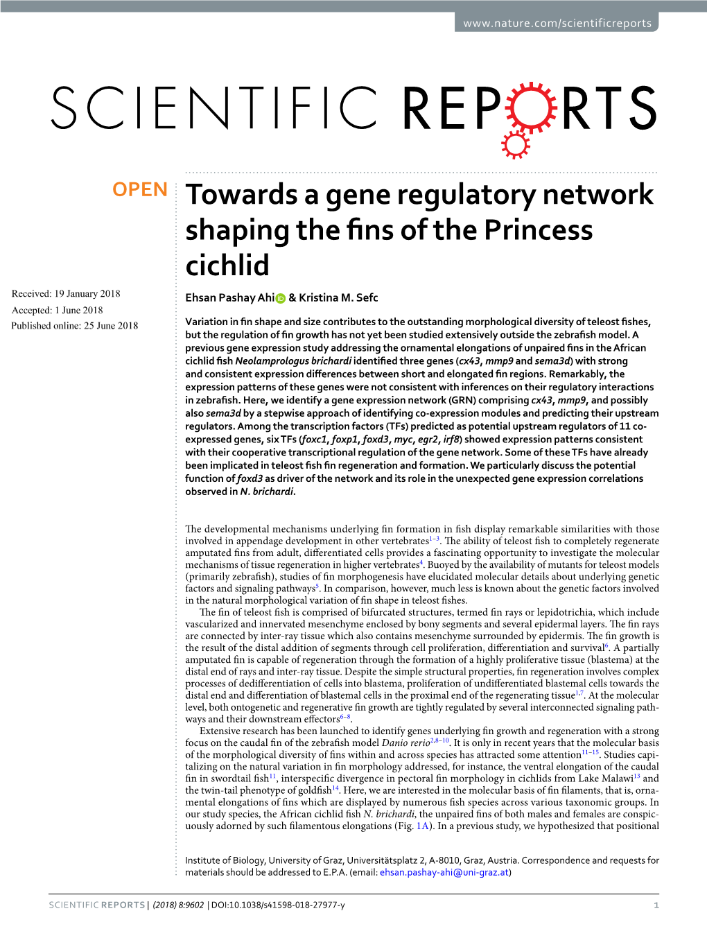 Towards a Gene Regulatory Network Shaping the Fins of the Princess Cichlid