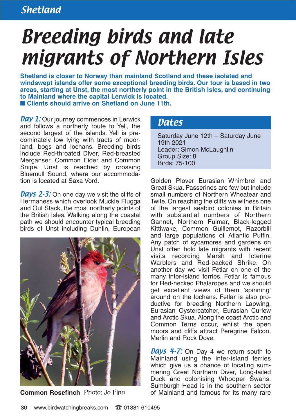 Breeding Birds and Late Migrants of Northern Isles