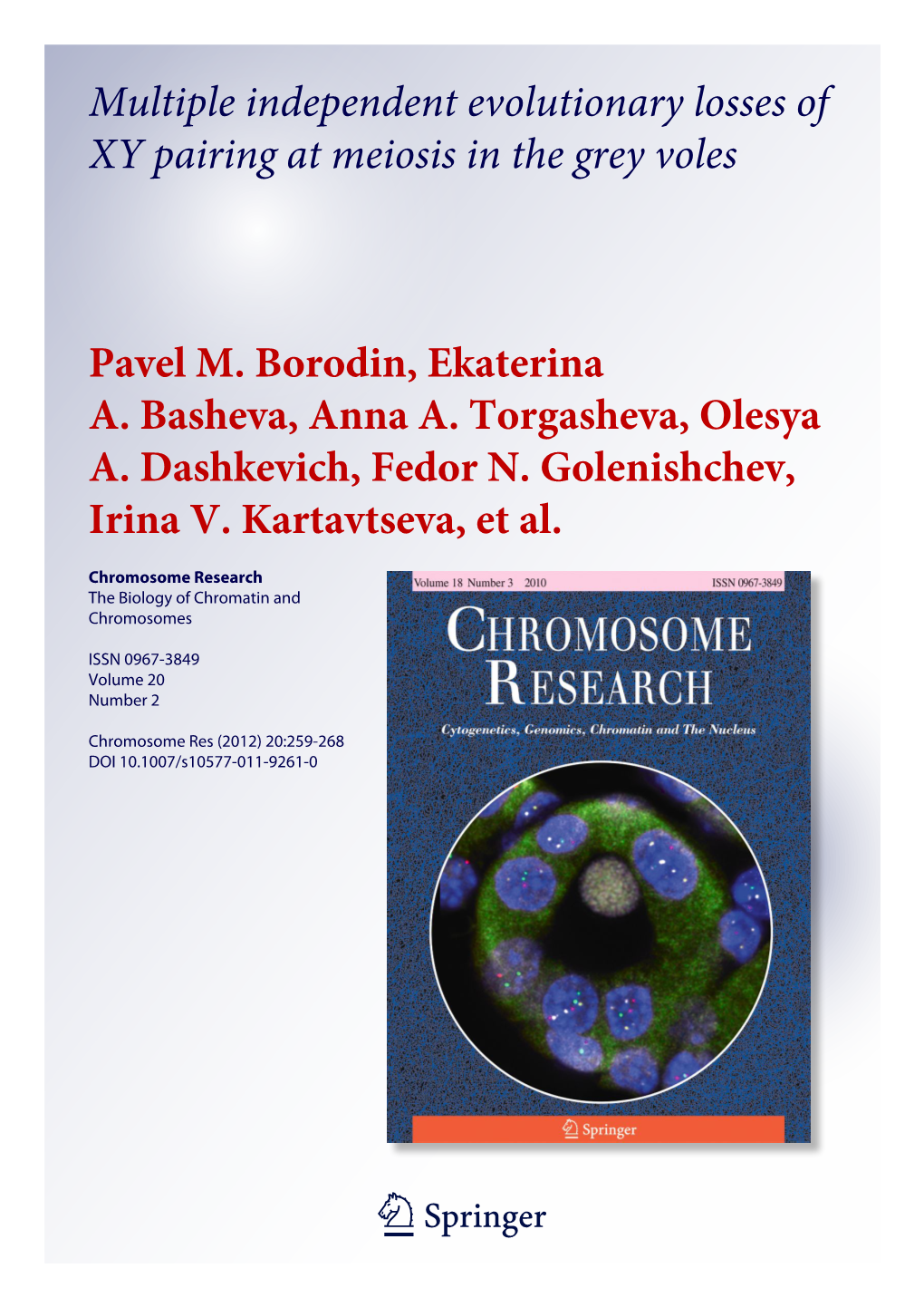 Multiple Independent Evolutionary Losses of XY Pairing at Meiosis in the Grey Voles