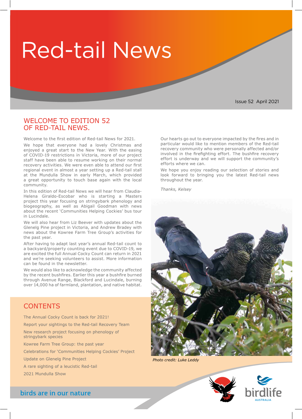 Download Red-Tail News Issue 52 2021
