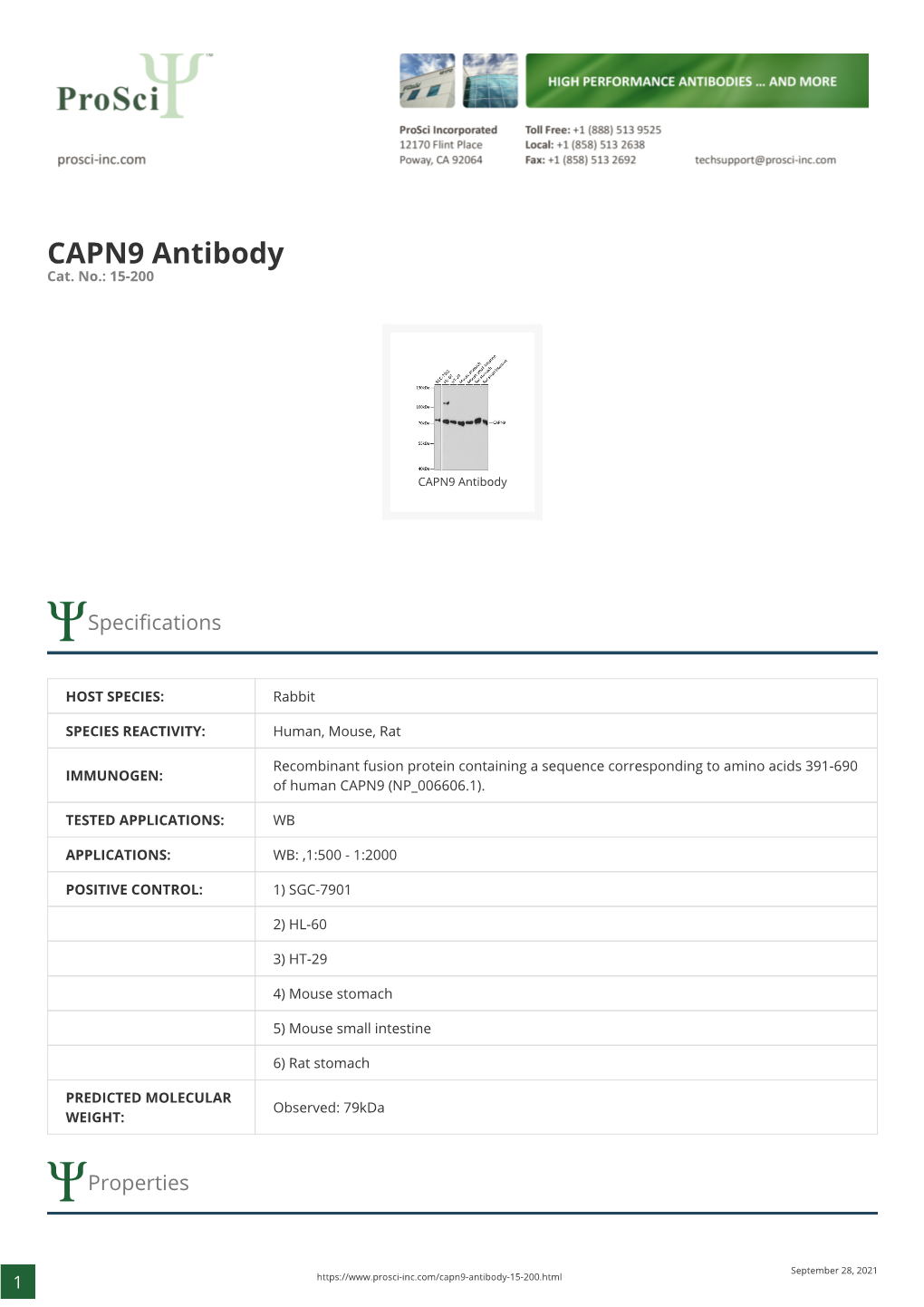 CAPN9 Antibody Cat