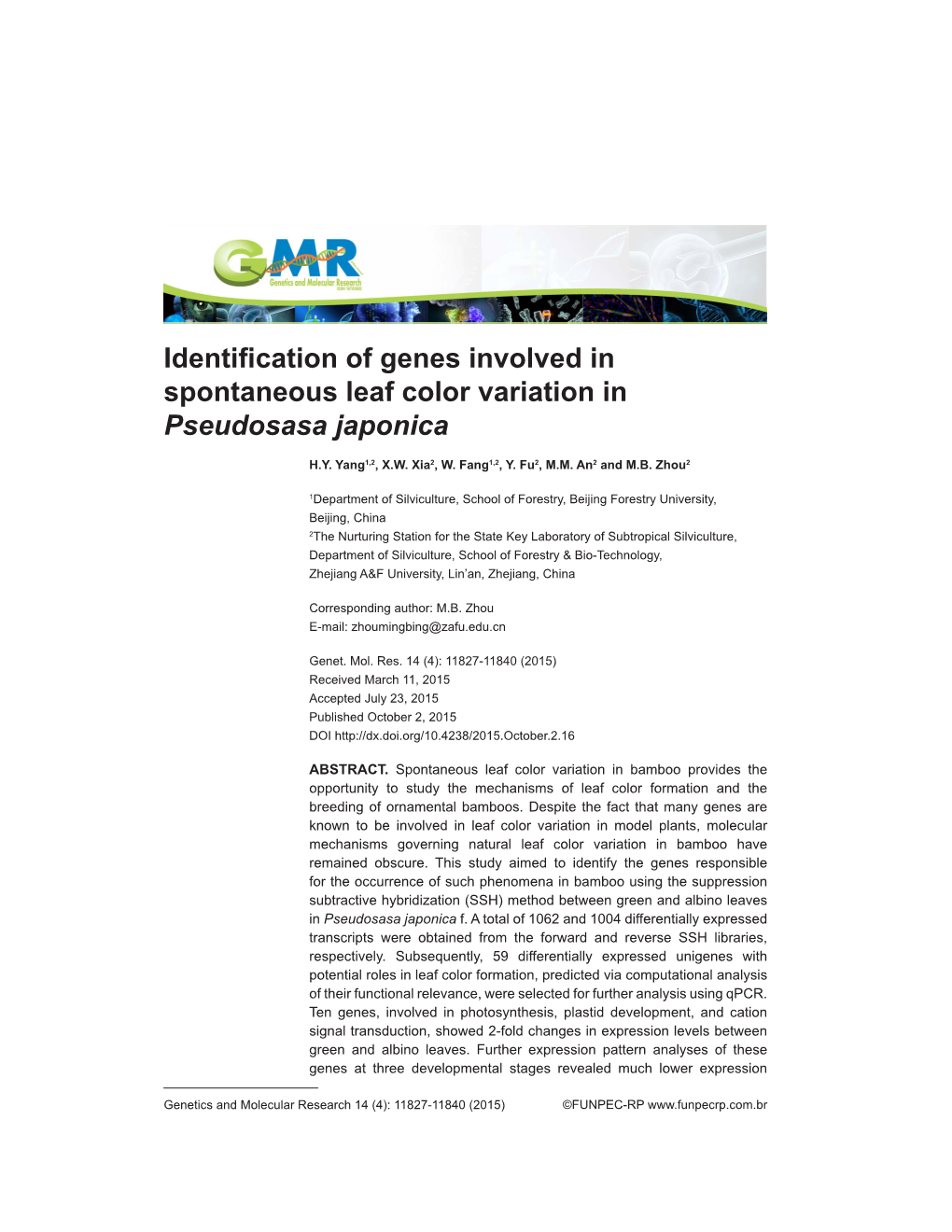 Identification of Genes Involved in Spontaneous Leaf Color Variation in Pseudosasa Japonica