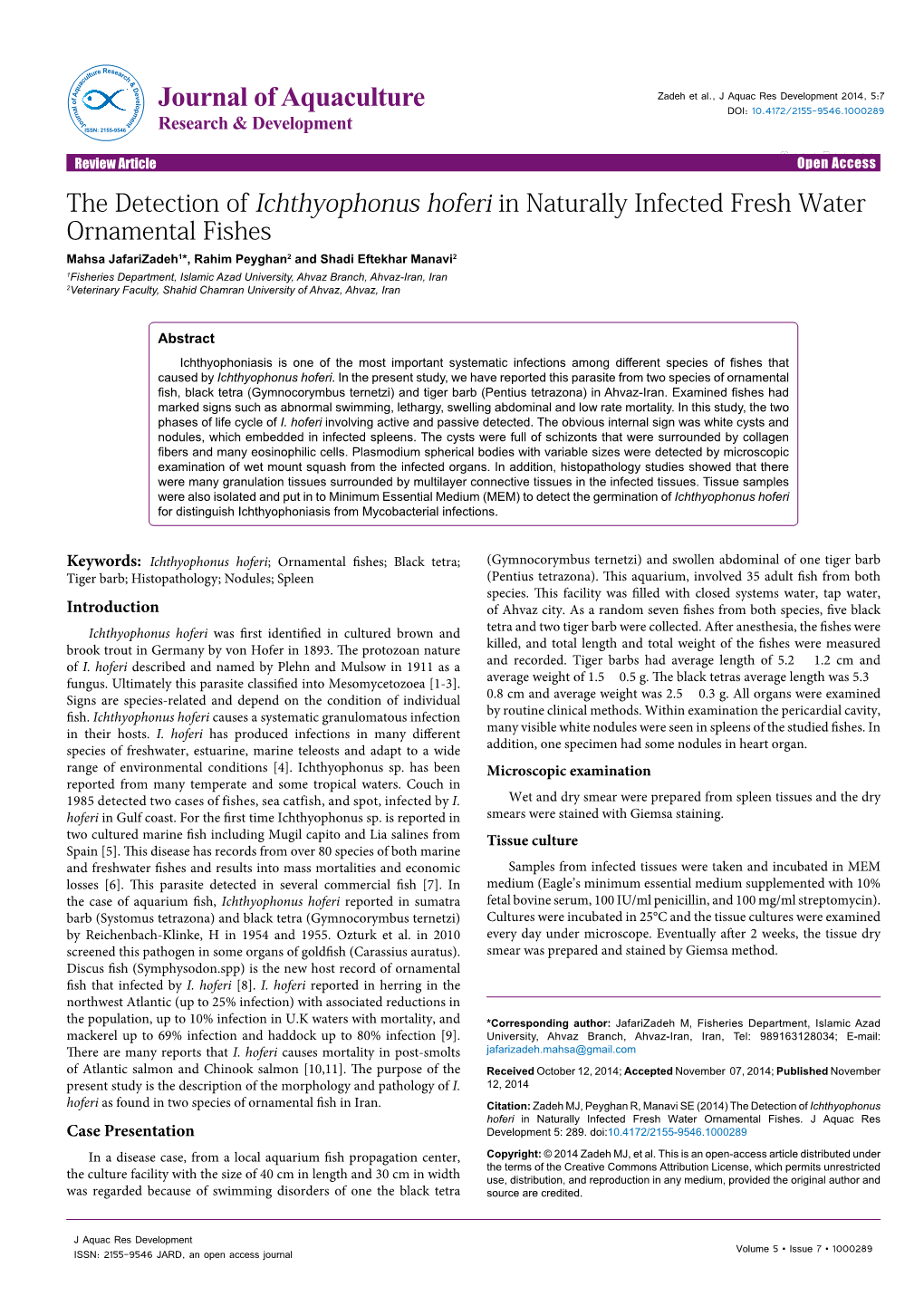 The Detection of Ichthyophonus Hoferi in Naturally Infected Fresh Water