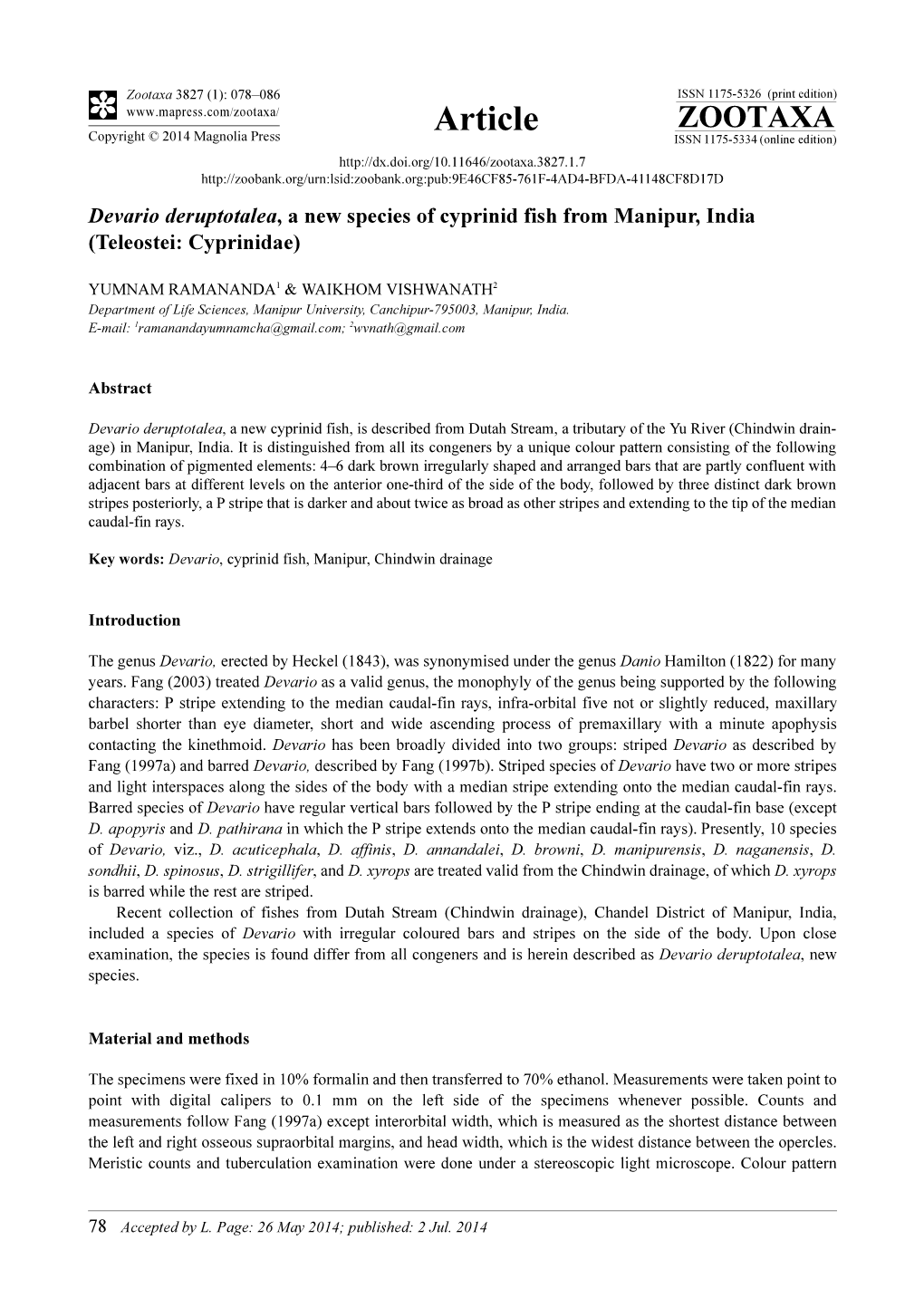 Devario Deruptotalea, a New Species of Cyprinid Fish from Manipur, India (Teleostei: Cyprinidae)