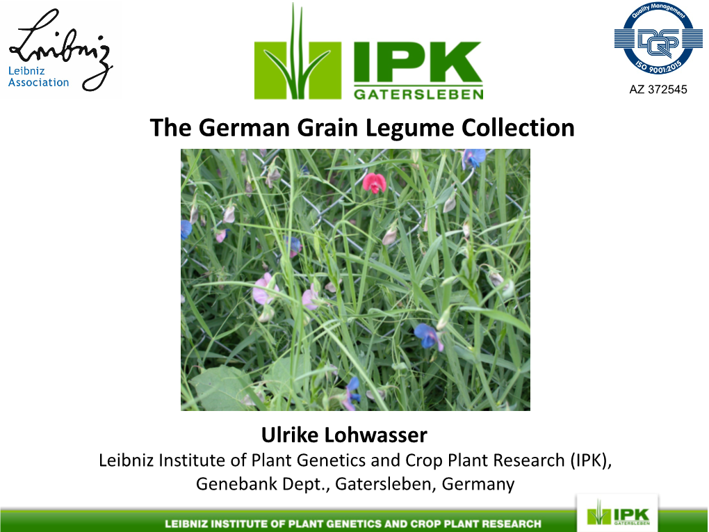 The German Grain Legume Collection