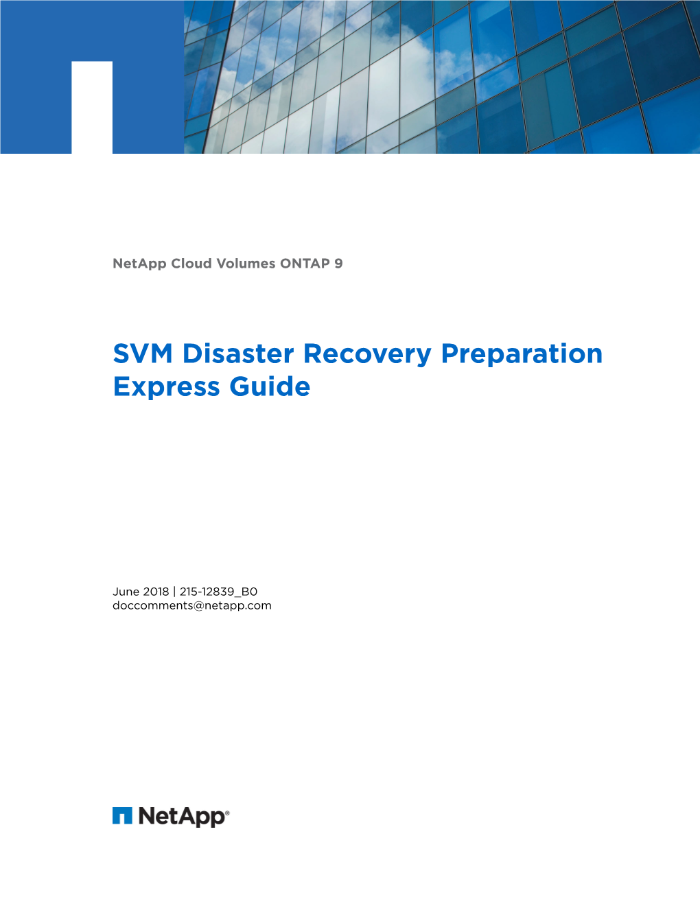 Cloud Volumes ONTAP SVM Disaster Recovery Express Preparation