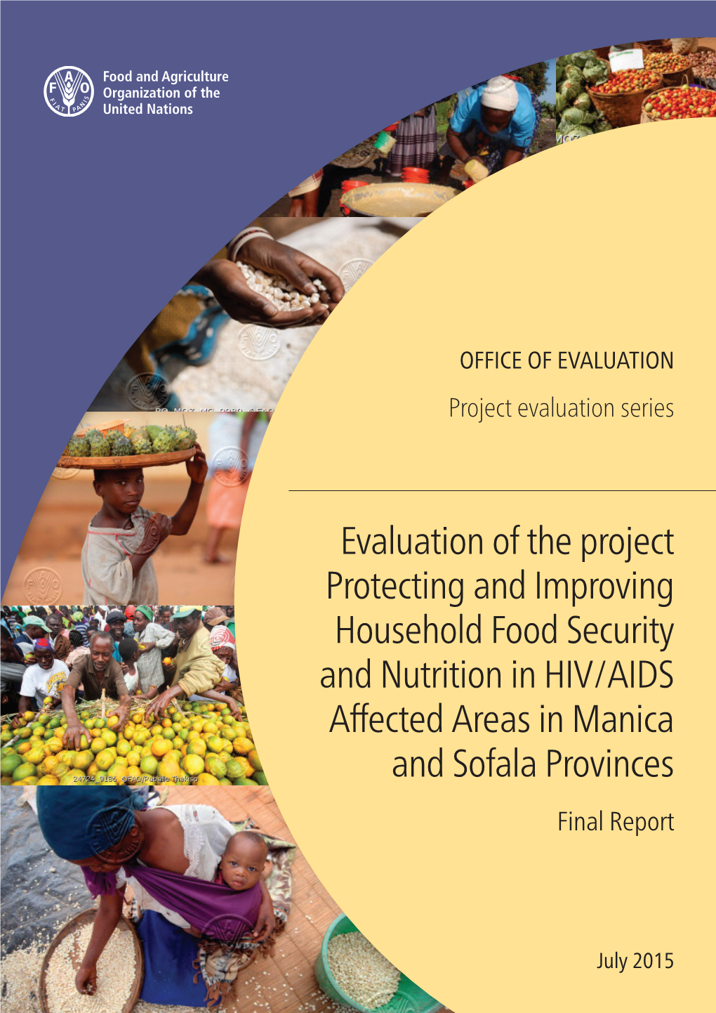 Evaluation of the Project Protecting and Improving Household Food Security and Nutrition in HIV/AIDS Affected Areas in Manica and Sofala Provinces Final Report