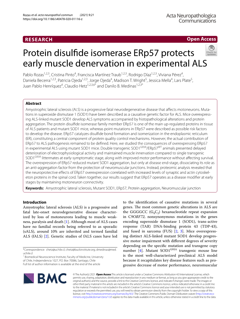 Protein Disulfide Isomerase Erp57 Protects Early Muscle Denervation