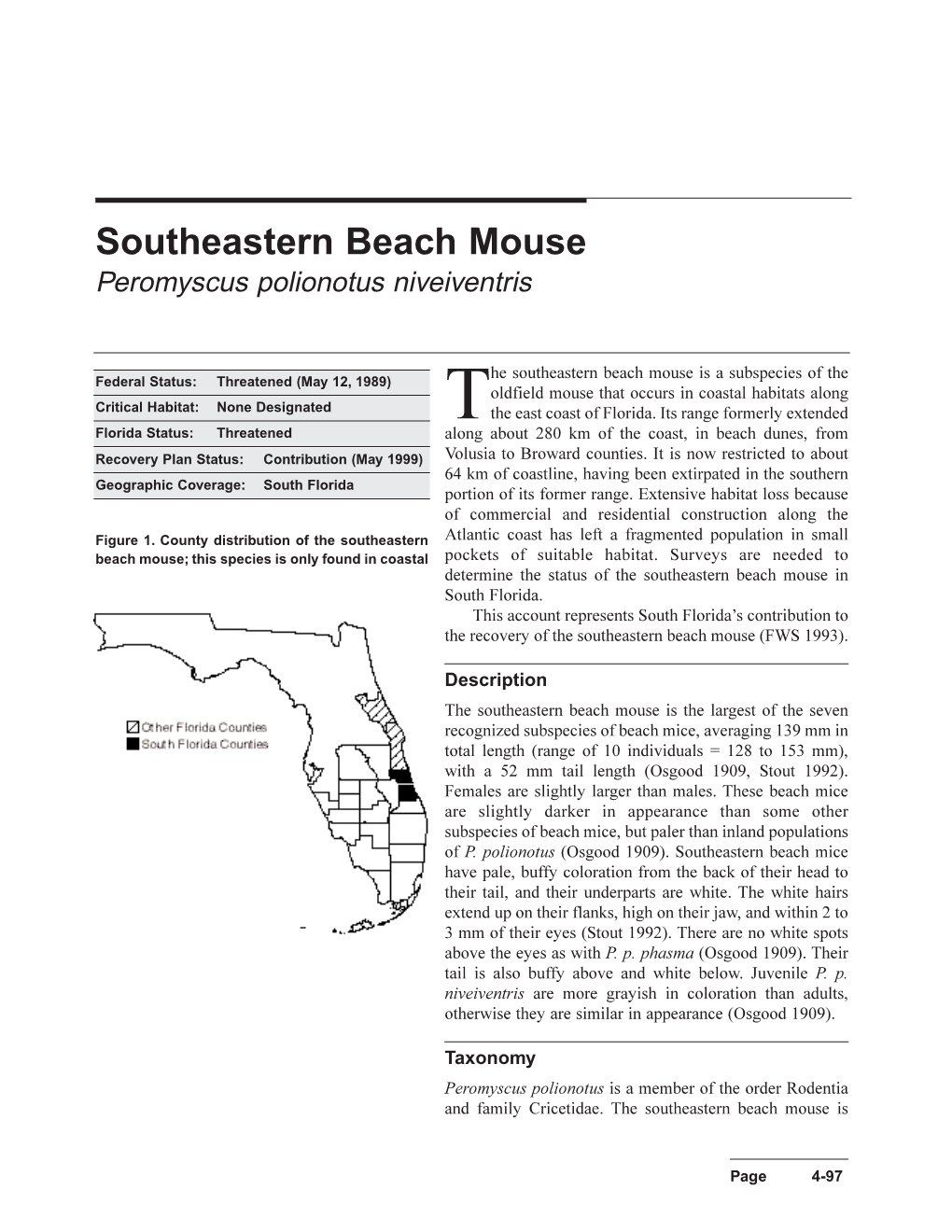 The Southeastern Beach Mouse Is a Subspecies Of