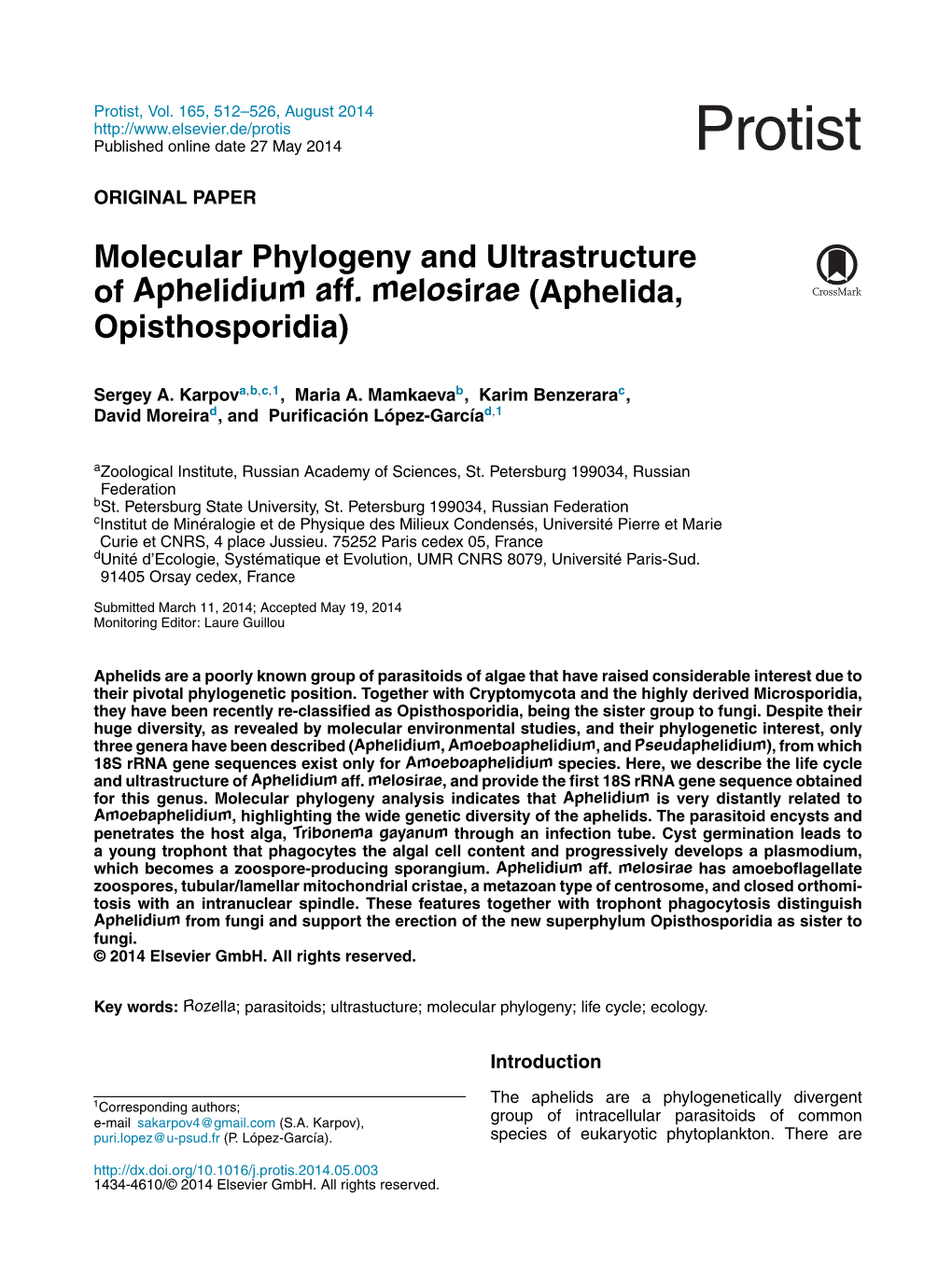 Molecular Phylogeny and Ultrastructure of Aphelidium Aff