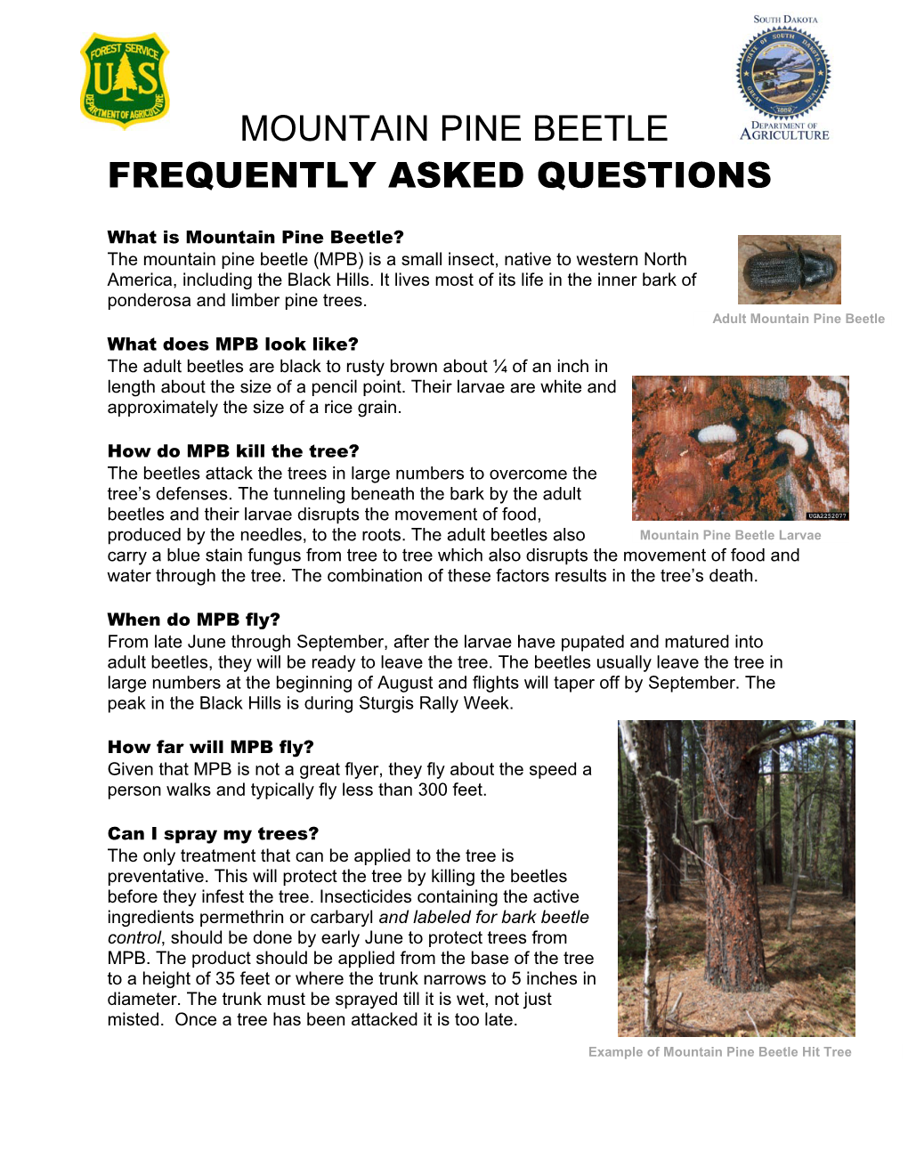 Mountain Pine Beetle Frequently Asked Questions