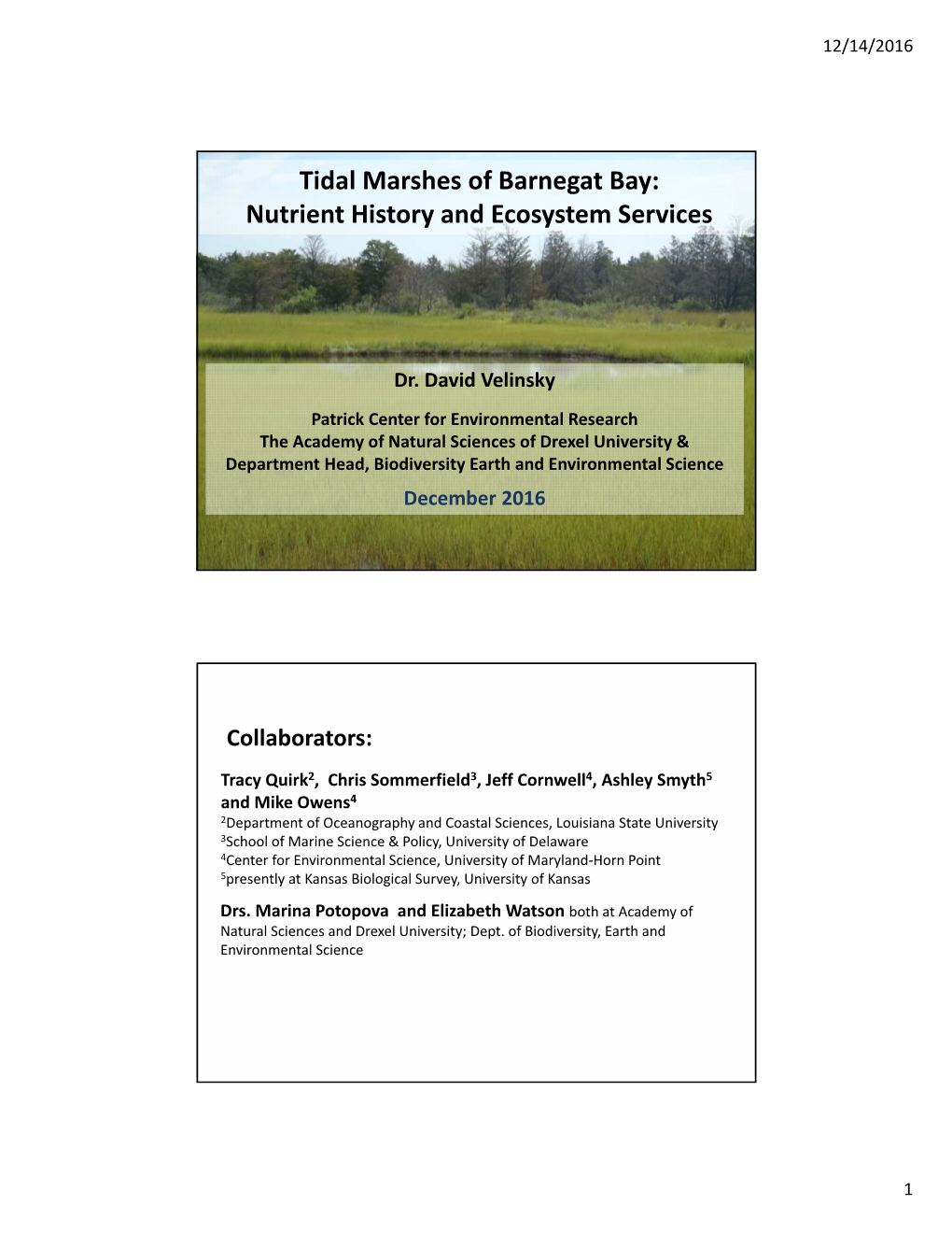 Tidal Marshes of Barnegat Bay: Nutrient History and Ecosystem Services