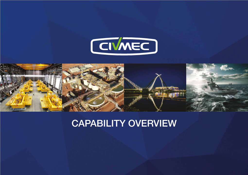 Capability Overview