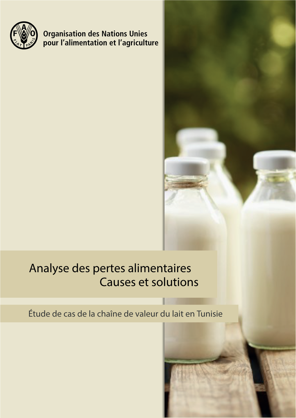Analyse Des Pertes Alimentaires Causes Et Solutions