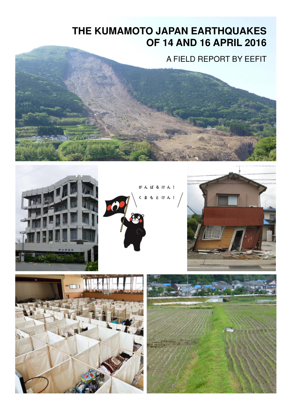 The Kumamoto Japan Earthquakes of 14 and 16 April 2016 a Field Report by Eefit