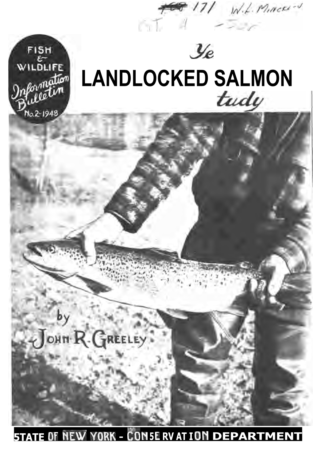 Landlocked Salmon