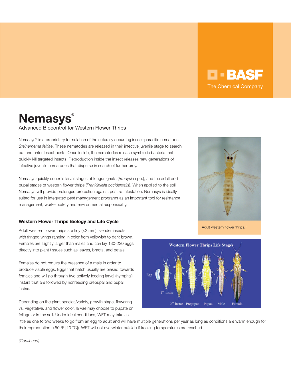 Nemasys Western Flower Thrips Technical Information Bulletin