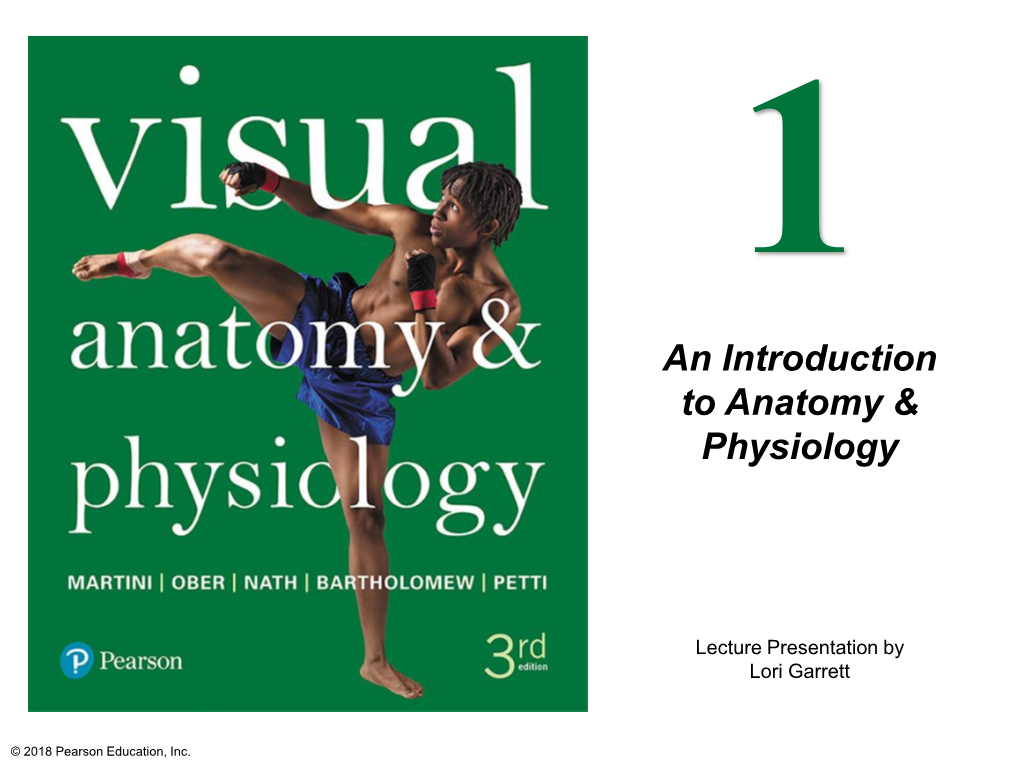 An Introduction to Anatomy & Physiology