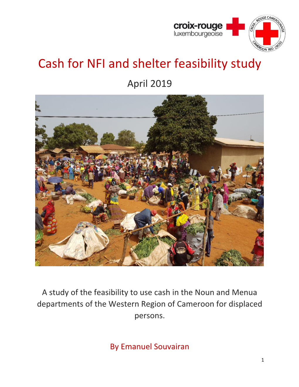 Cash for NFI and Shelter Feasibility Study April 2019