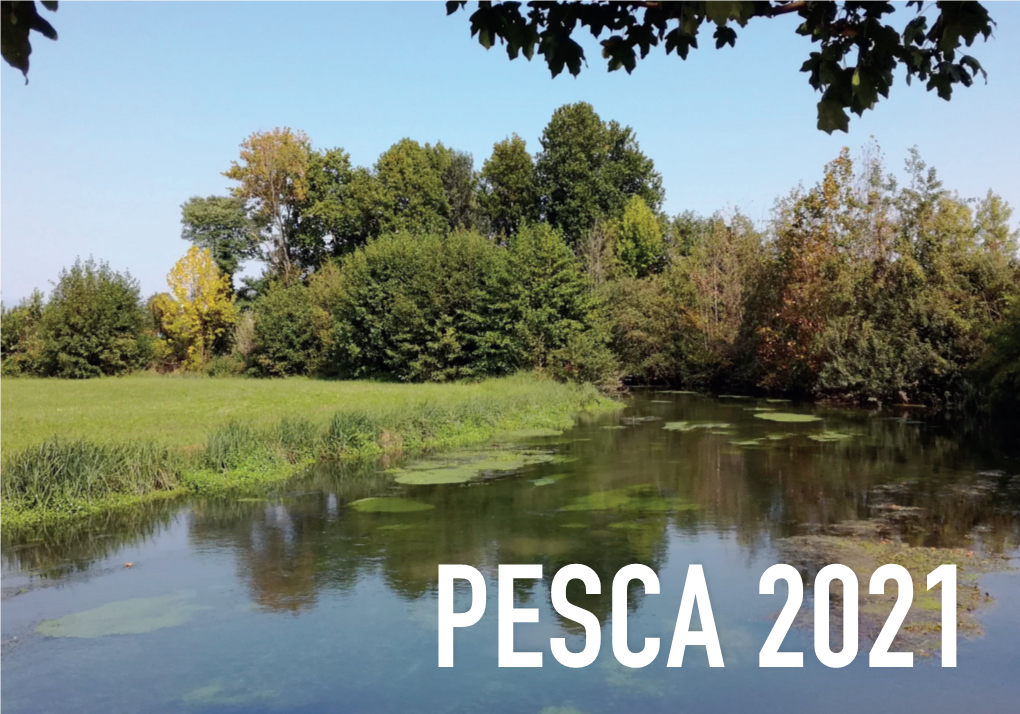 PESCA 2021 Norme Per L’Esercizio Della Pesca – Anno 2021