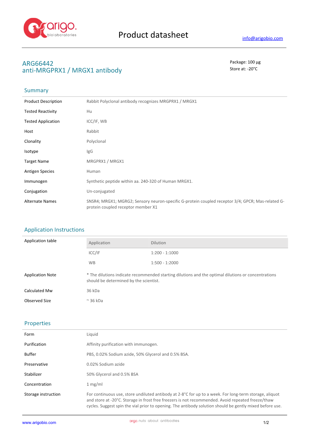 Anti-MRGPRX1 / MRGX1 Antibody (ARG66442)