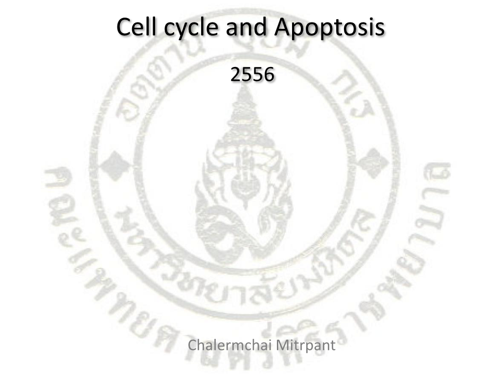 Cell Cycle and Apoptosis 2556