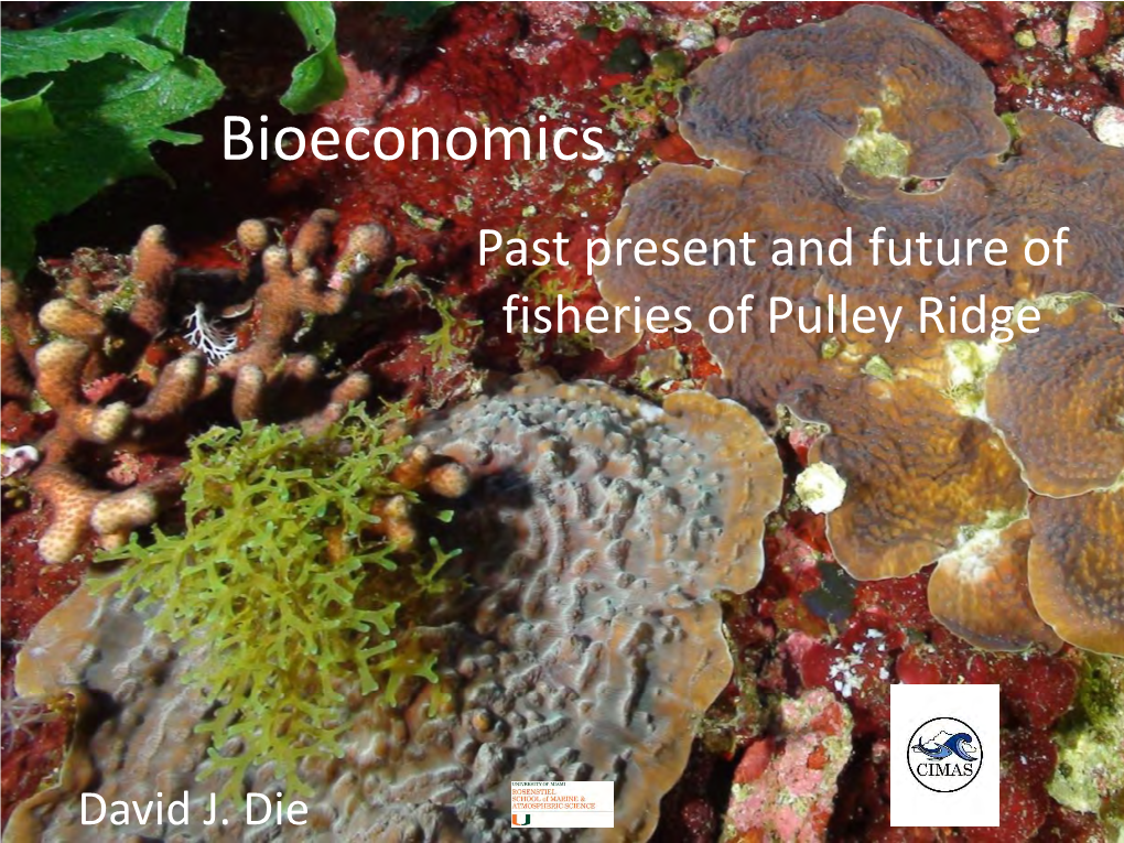 Bioeconomics Past Present and Future of Fisheries of Pulley Ridge