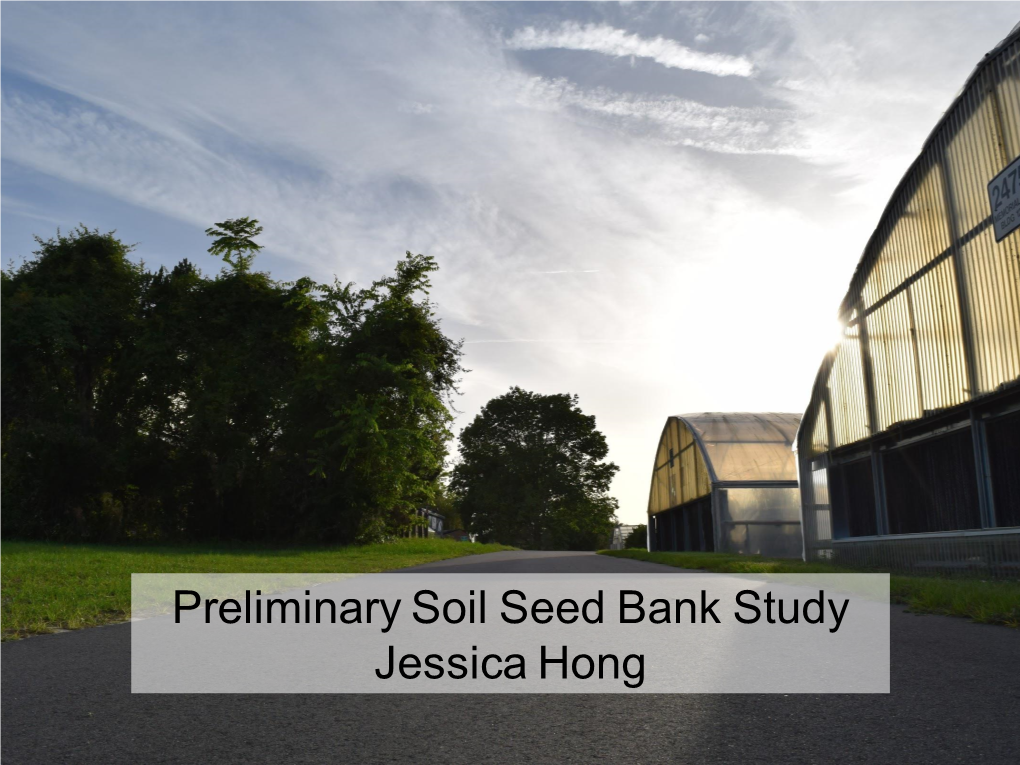 Preliminary Soil Seed Bank Study Jessica Hong
