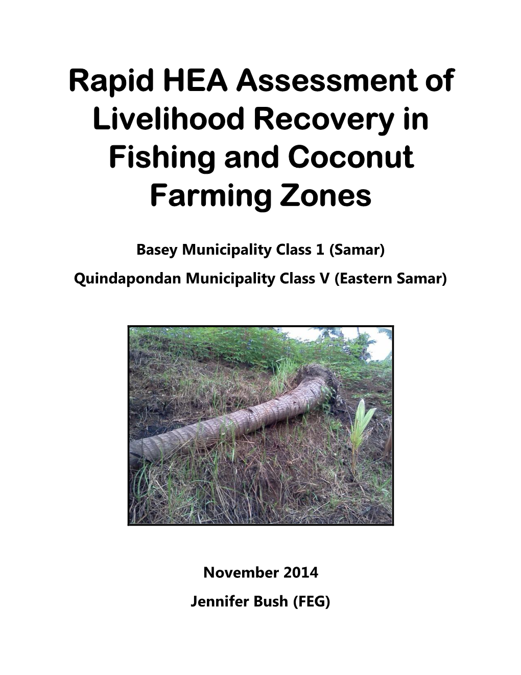 Rapid HEA Assessment of Livelihoods Recovery in Samar, Philippines 2014