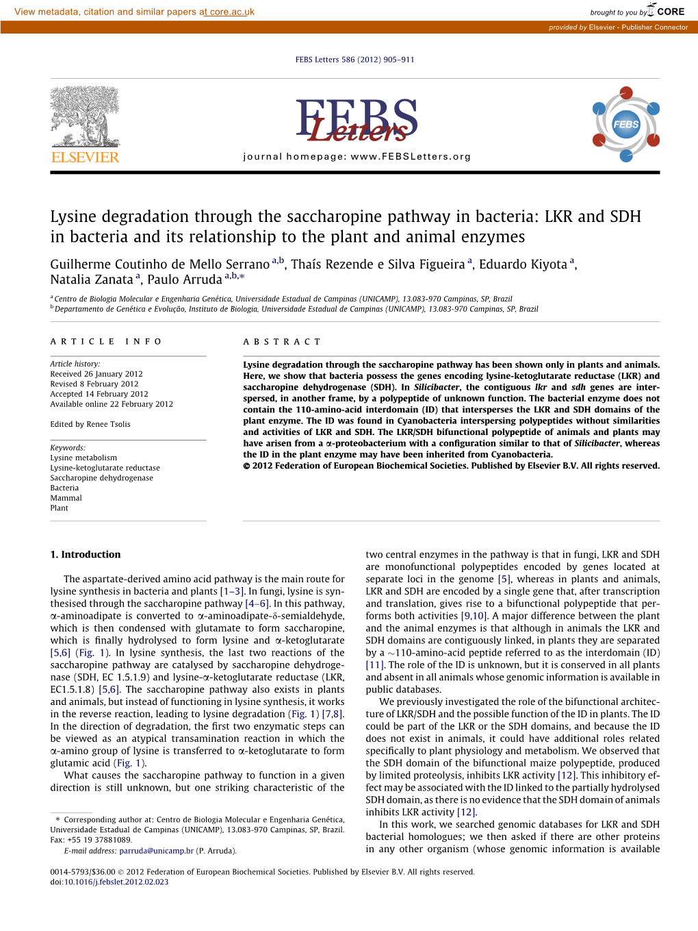 Lysine Degradation Through the Saccharopine Pathway in Bacteria: LKR and SDH in Bacteria and Its Relationship to the Plant and Animal Enzymes