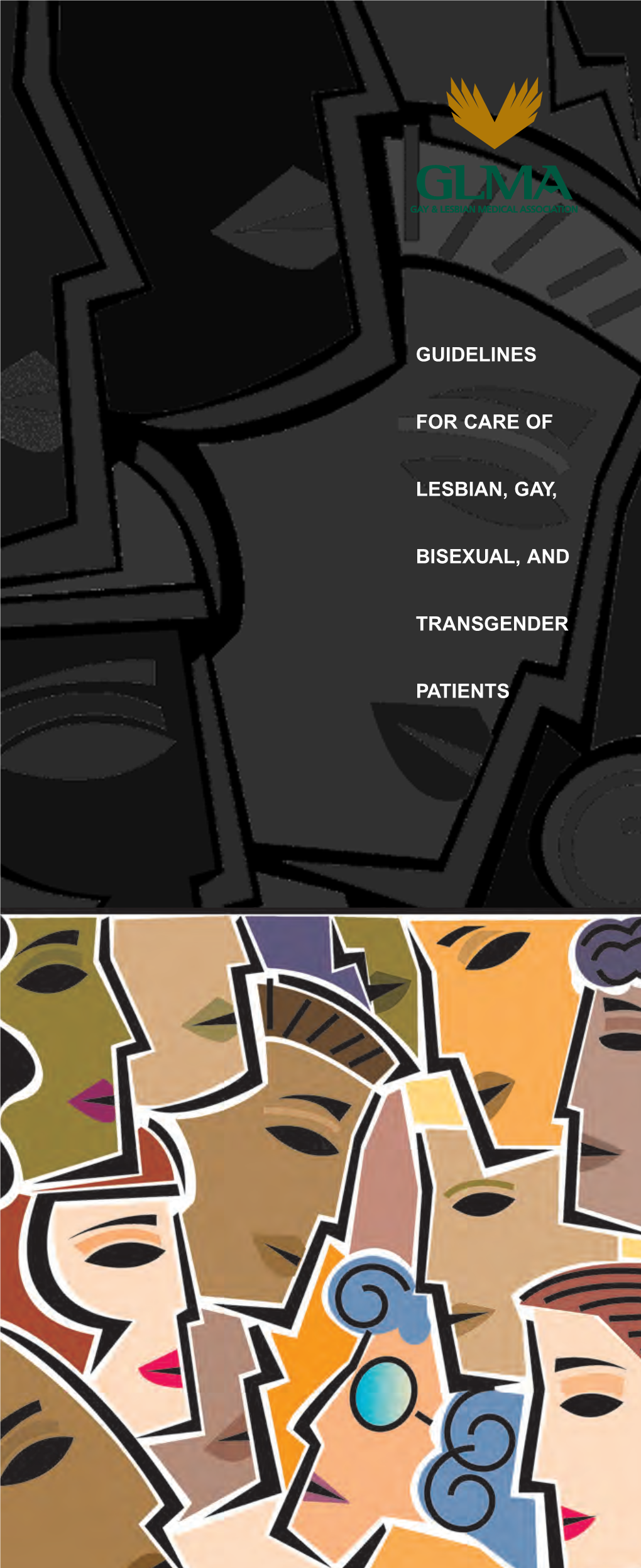 Guidelines for Care of Lesbian, Gay, Bisexual, And