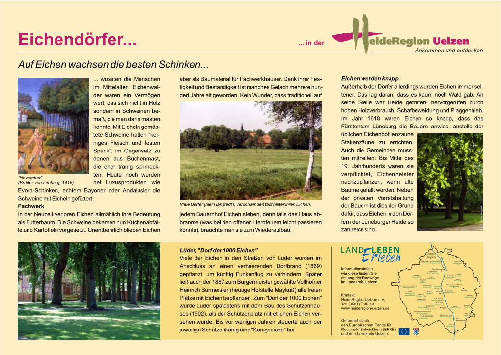 Infotafel Eichendörfer (181 Kb) PDF-Download