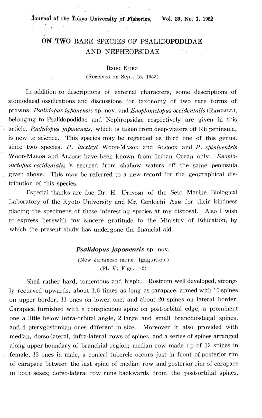 On Two Rare Species of Psalidopodidae and Nephropsidae