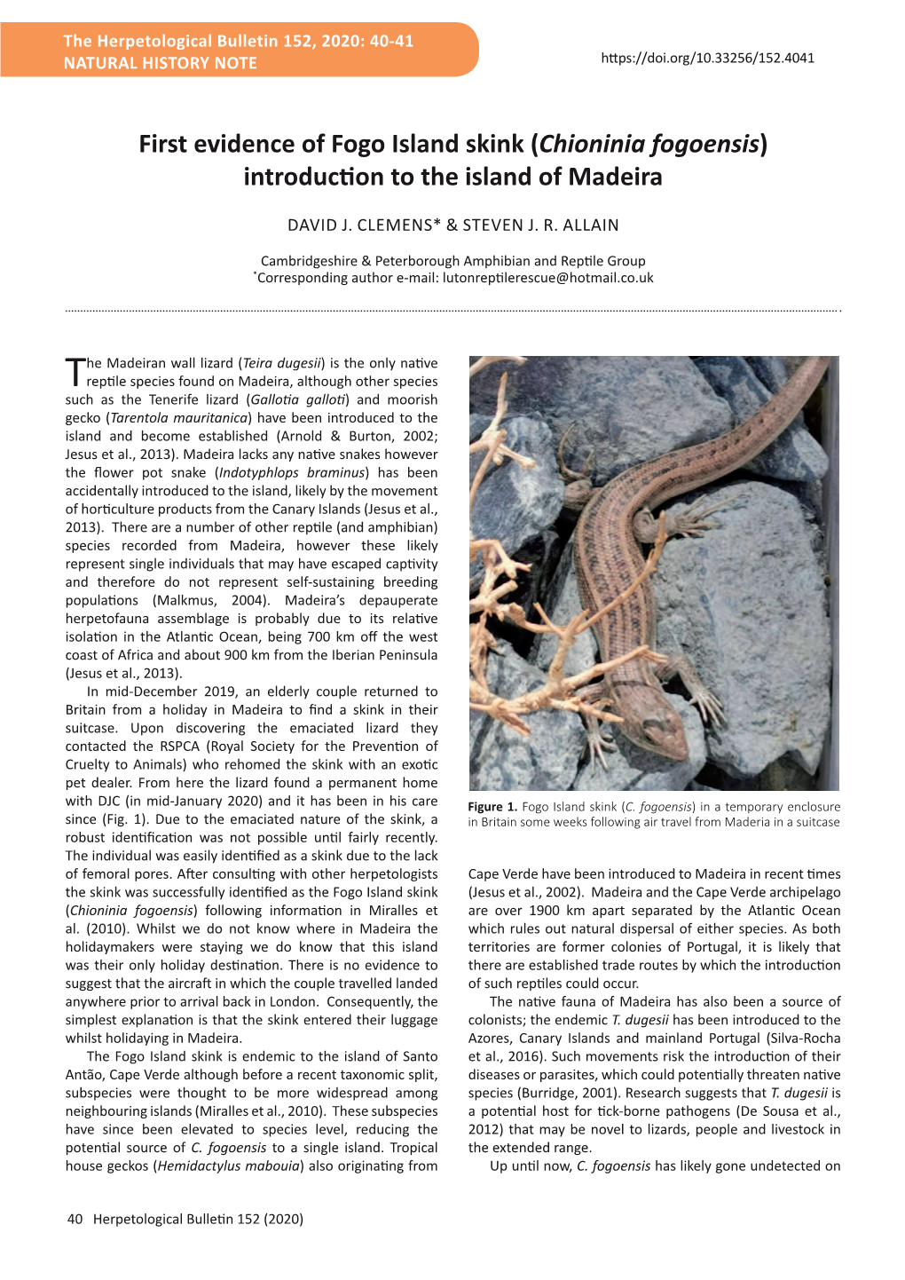 First Evidence of Fogo Island Skink (Chioninia Fogoensis) Introduction to the Island of Madeira