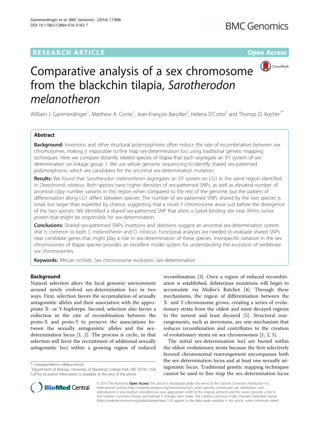 Comparative Analysis of a Sex Chromosome from the Blackchin Tilapia, Sarotherodon Melanotheron