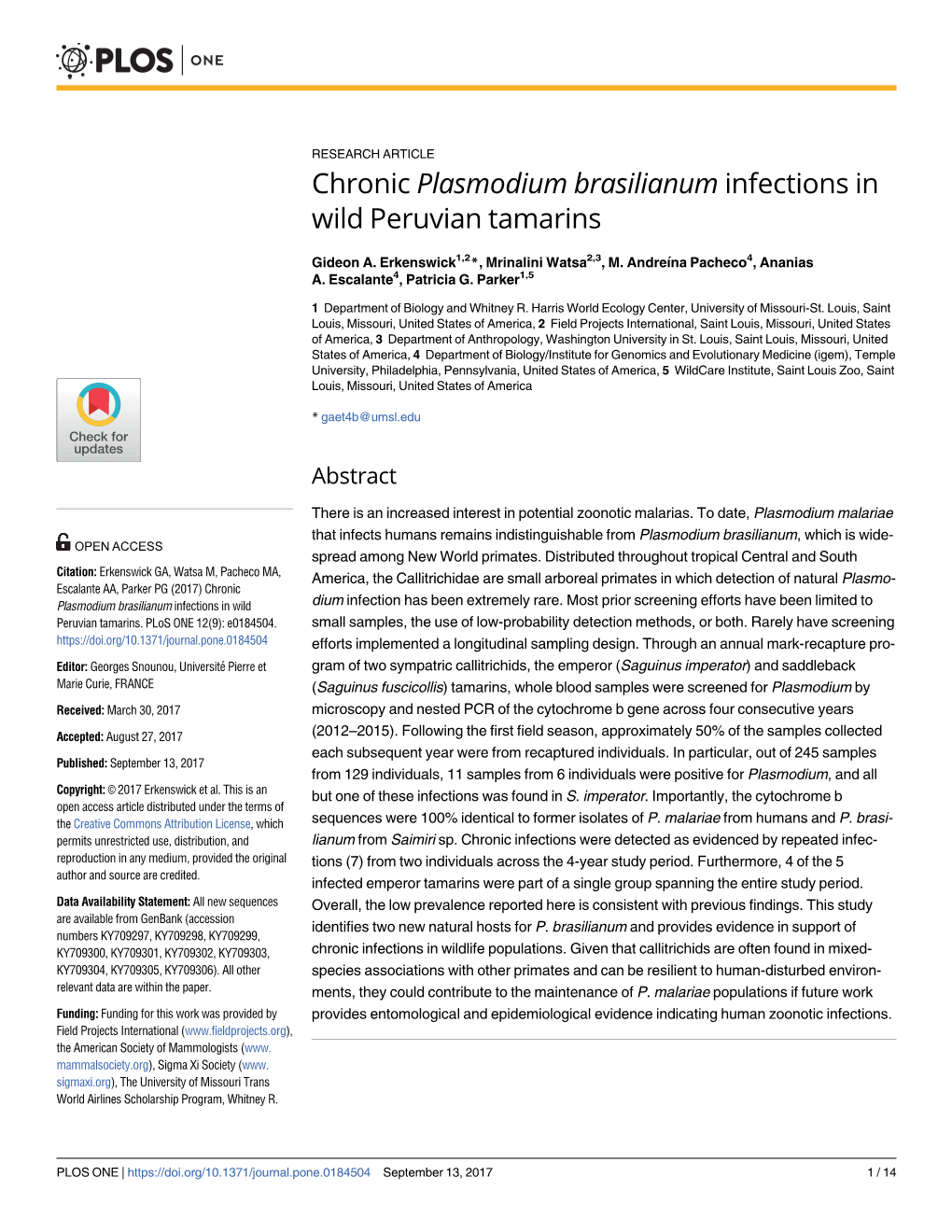 Chronic Plasmodium Brasilianum Infections in Wild Peruvian Tamarins