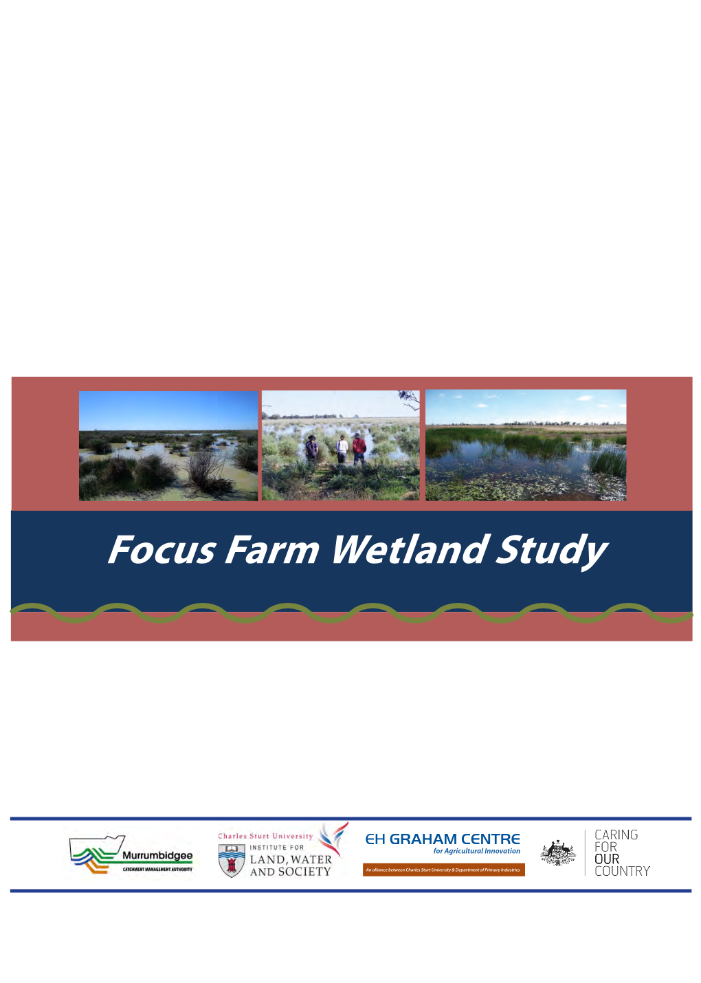 Focus Farm Wetland Study Focus Farm Wetland Study