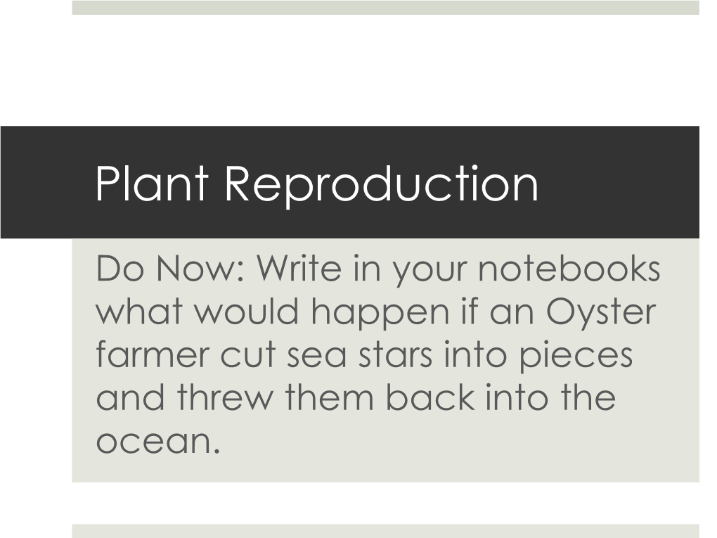 Plant Reproduction