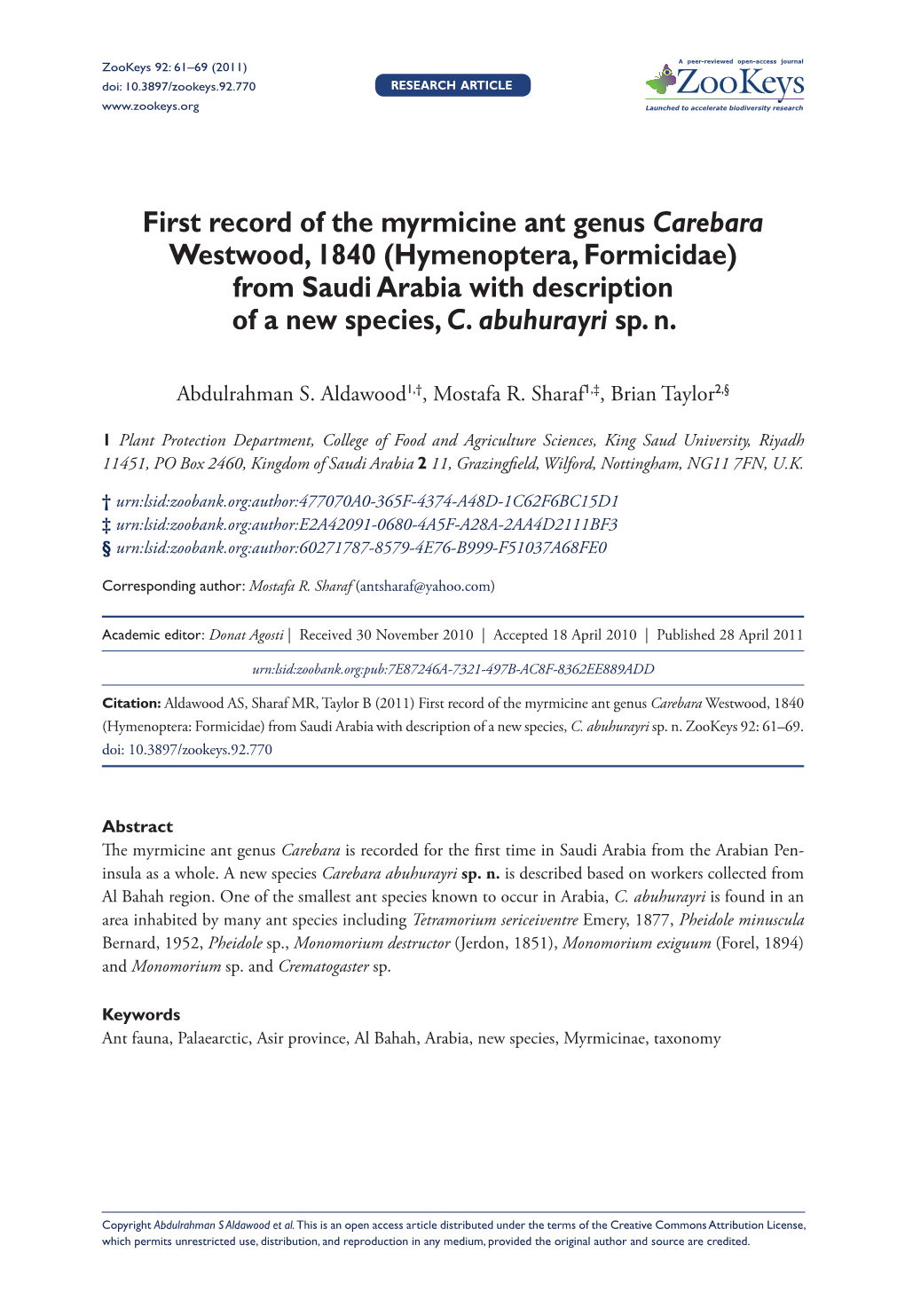 First Record of the Myrmicine Ant Genus Carebara Westwood, 1840 (Hymenoptera, Formicidae) from Saudi Arabia with Description of a New Species, C