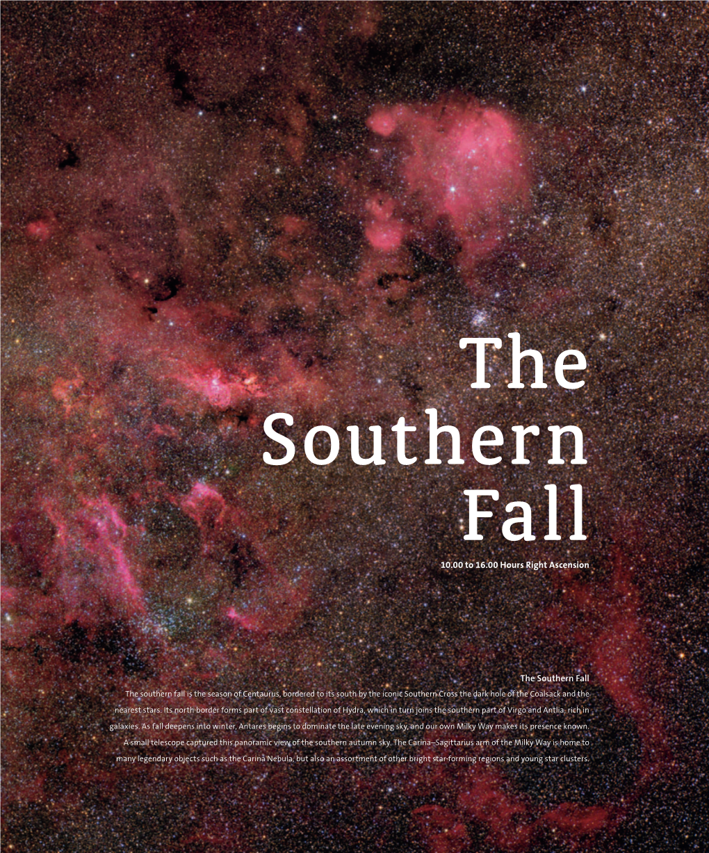 The Southern Fall Download