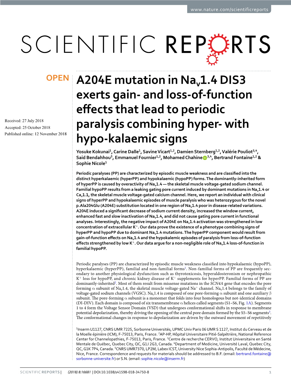 A204E Mutation in Nav1.4 DIS3 Exerts Gain- and Loss-Of-Function Effects That Lead to Periodic Paralysis Combining Hyper