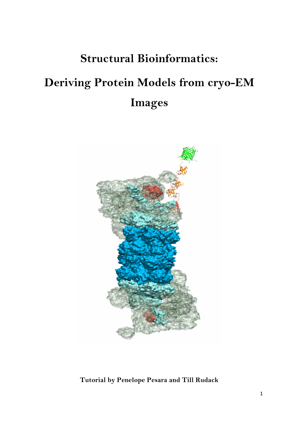 Structural Bioinformatics: Deriving Protein Models from Cryo-EM Images