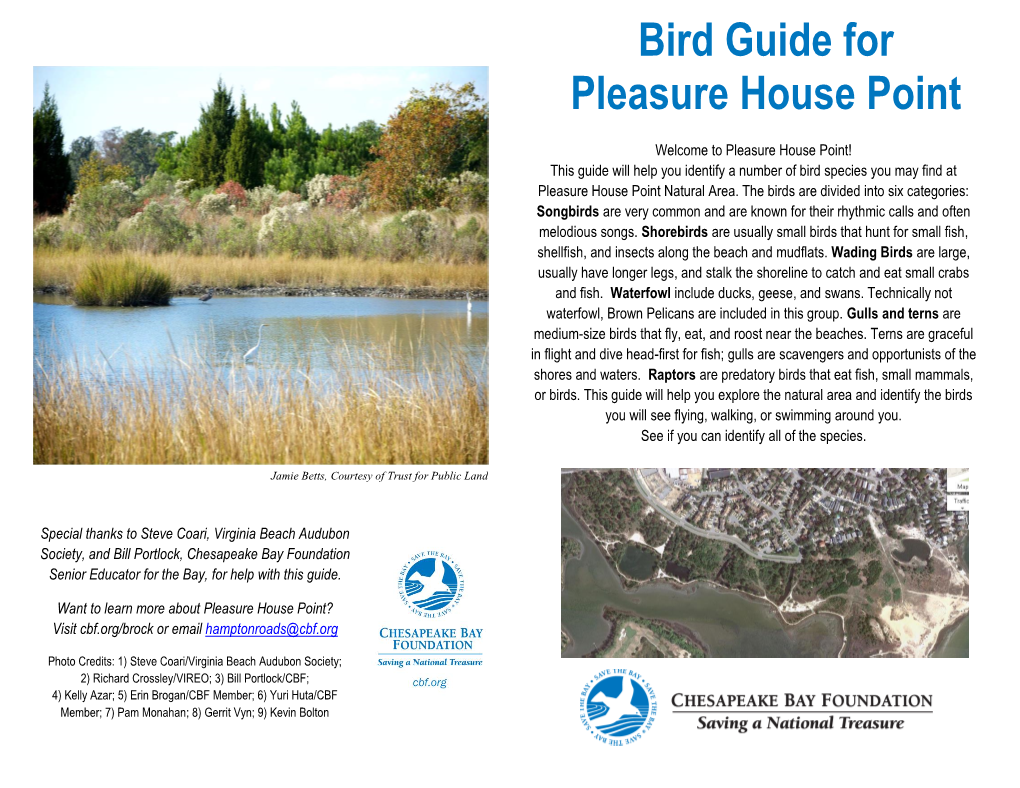 Bird Guide for Pleasure House Point