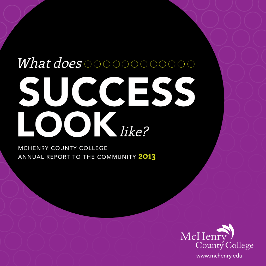 Mchenry County College Annual Report 2013
