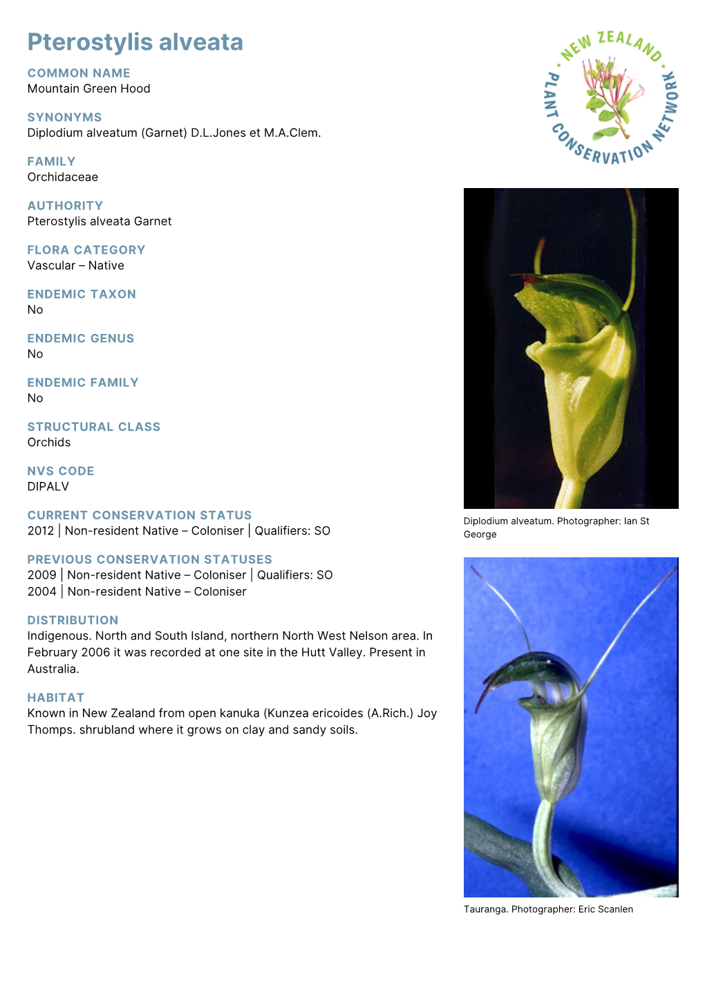 Pterostylis Alveata