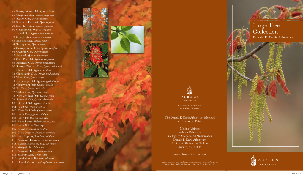 Tree Brochure