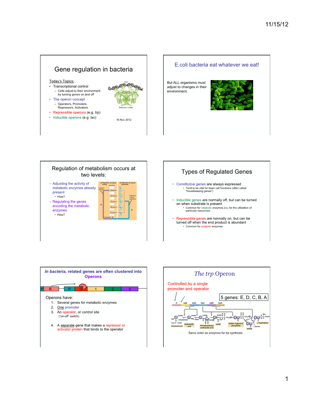 Gene Regulation in Bacteria