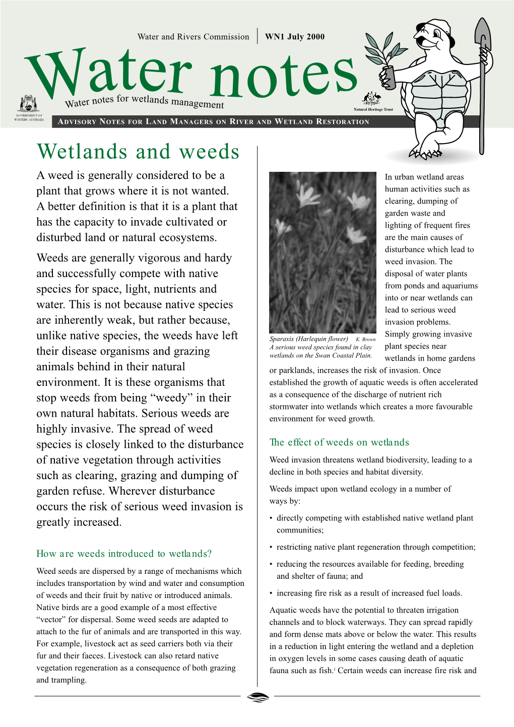 Wetlands and Weeds